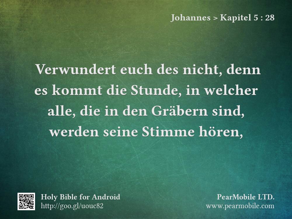 Johannes, Kapitel 5:28